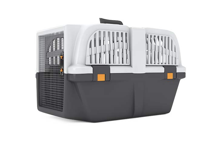 How To Bring Pets To Qatar: Requirements And Steps (2023) Sample Carrier To Bring Pets To Qatar