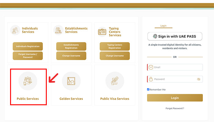 ICP Website Public Services