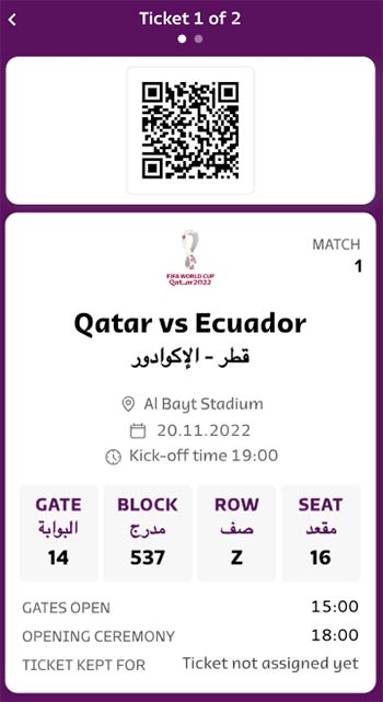 FIFA World Cup Mobile Ticket Sample