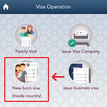 Newborn Visa (Inside Country) On Metrash